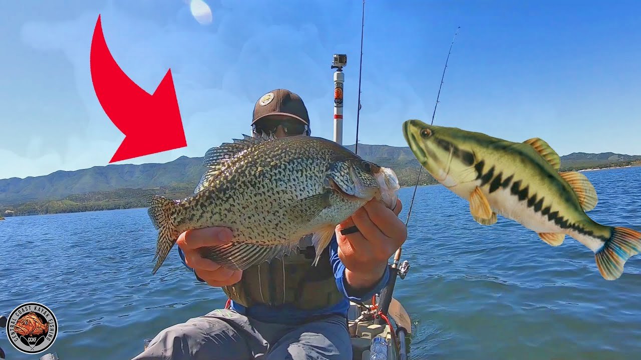 🏝️ 카카라 섬(가카라시마) 이미지 5